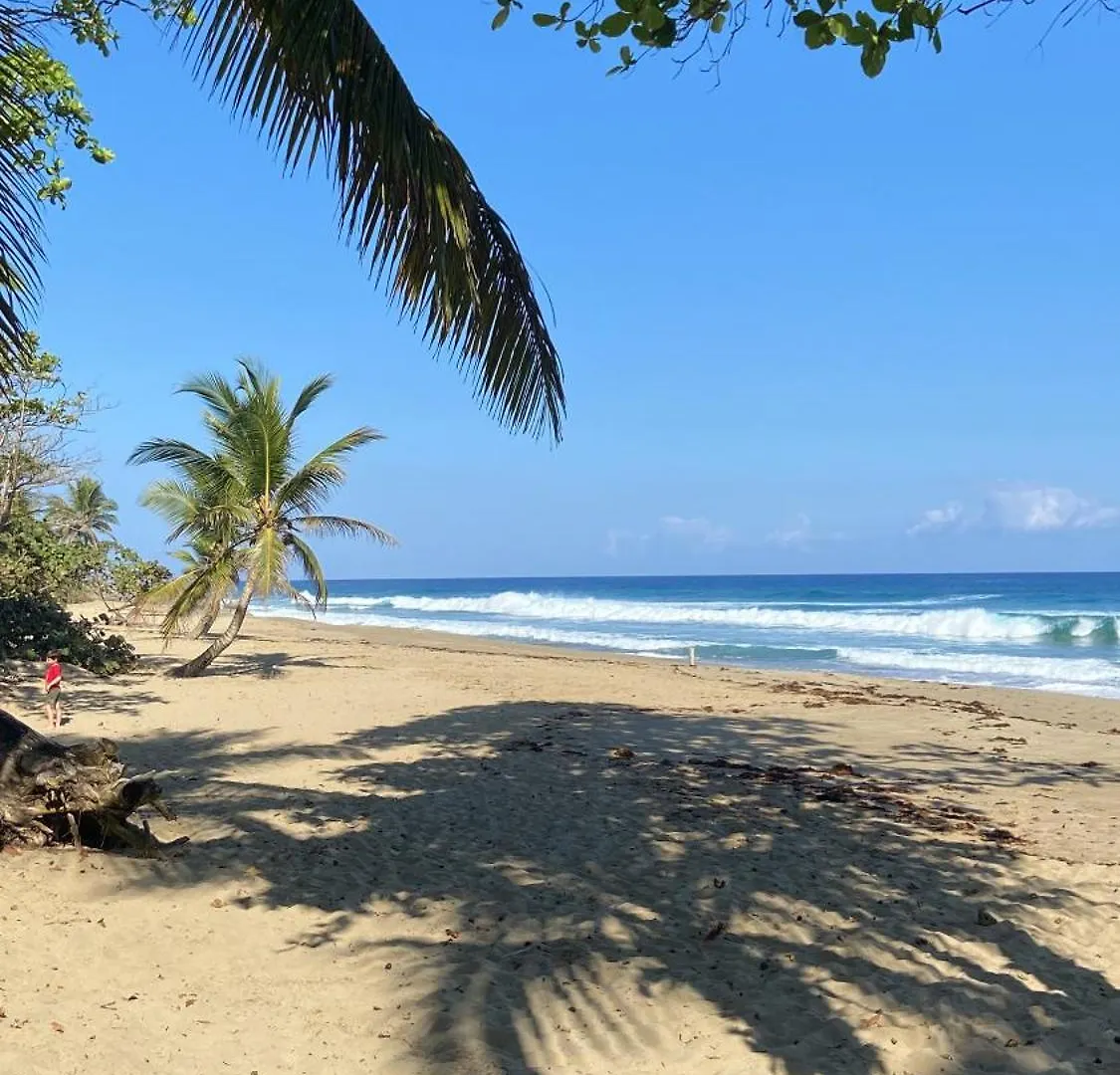 Perla Marina Ecolodge Beach - Kite, Surf, Next Encuentro Beach, Cabarete Bombita 4*,  Δομινικανή Δημοκρατία